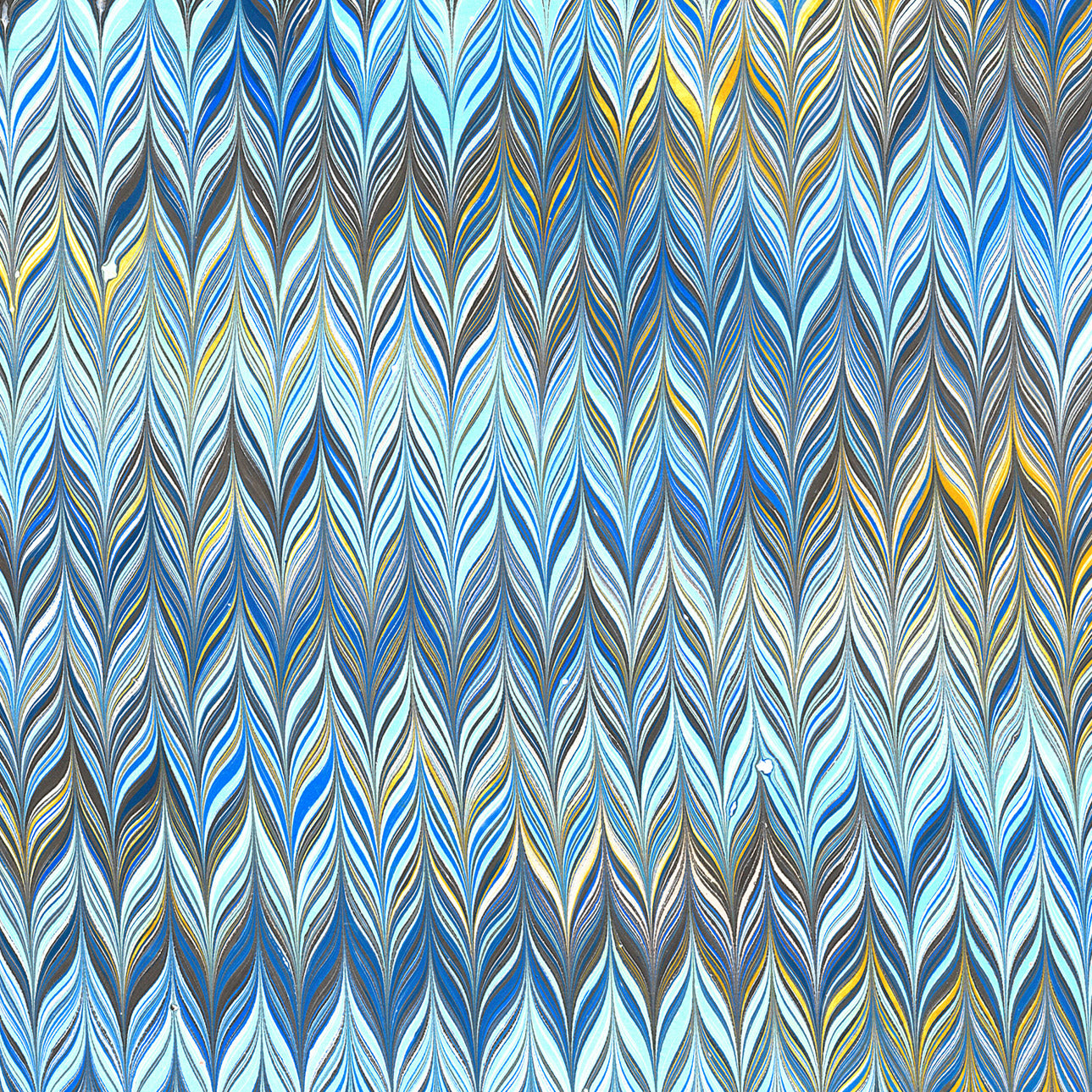 Intermediate Marbling Workshop: Waves and Combs